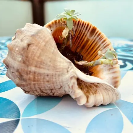 Frontemare - Elegante Sul Lungomare Con Wi-fi, Parking E Bici *